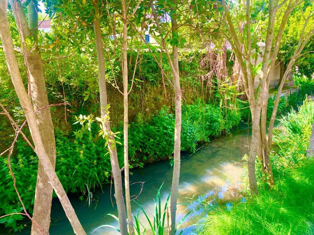 Domaine D'Ella Jourre Daire Canet  Dış mekan fotoğraf